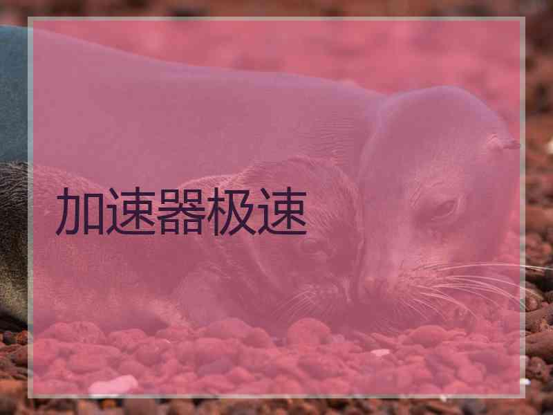 加速器极速