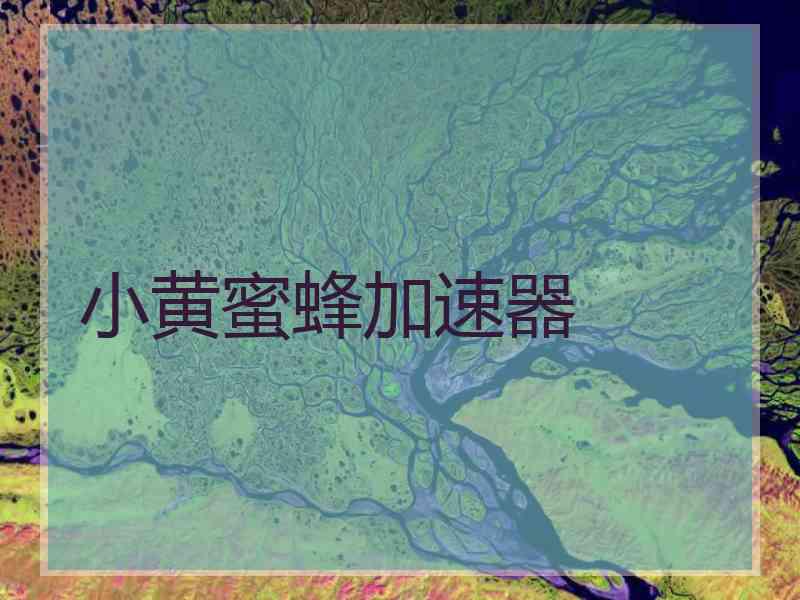 小黄蜜蜂加速器