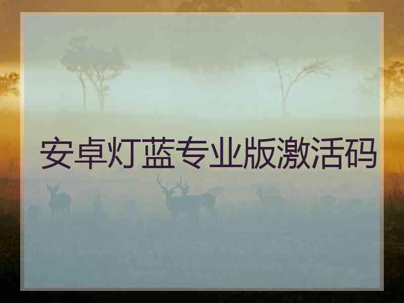 安卓灯蓝专业版激活码