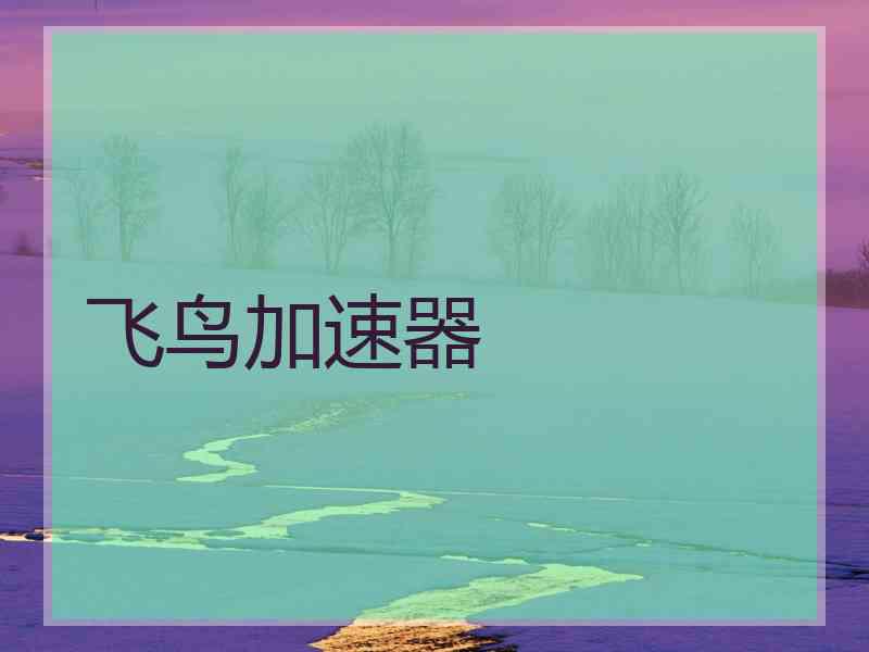 飞鸟加速器