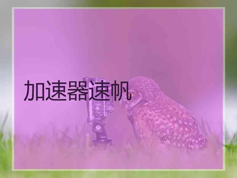 加速器速帆