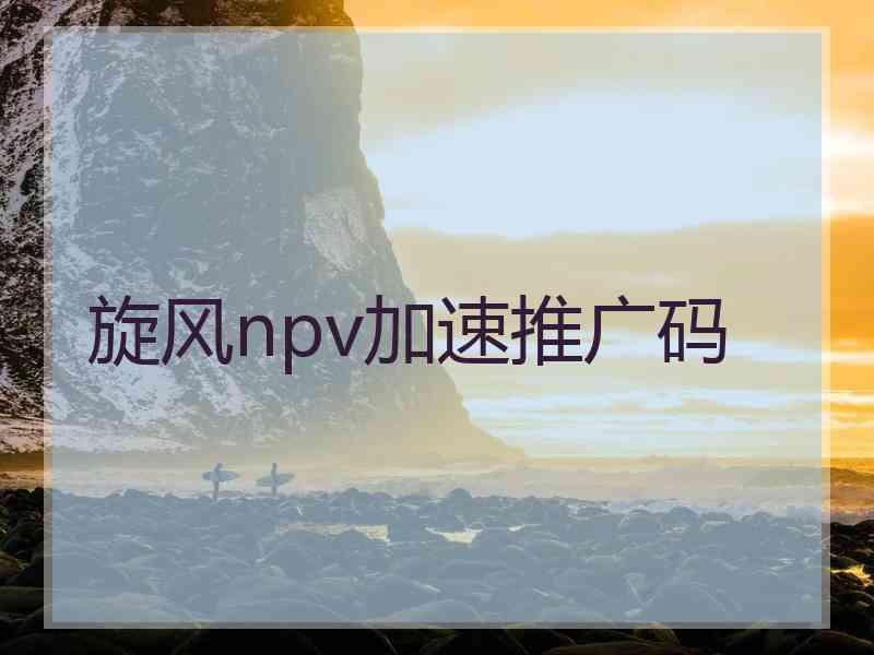旋风npv加速推广码