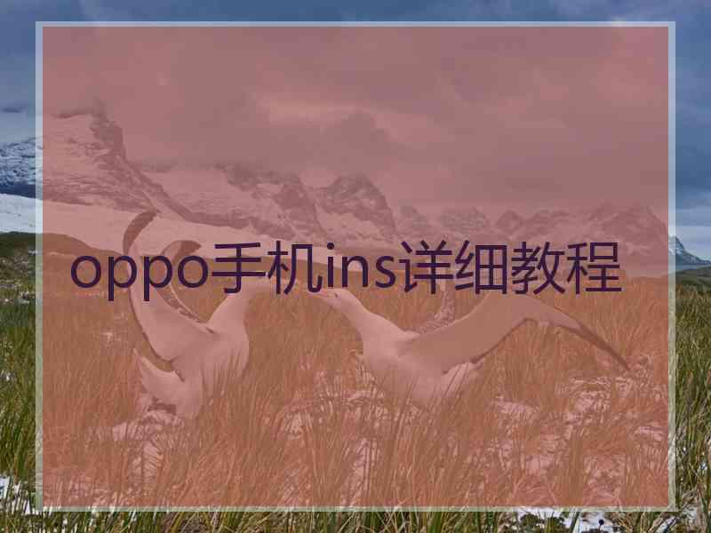 oppo手机ins详细教程