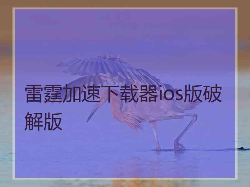 雷霆加速下载器ios版破解版
