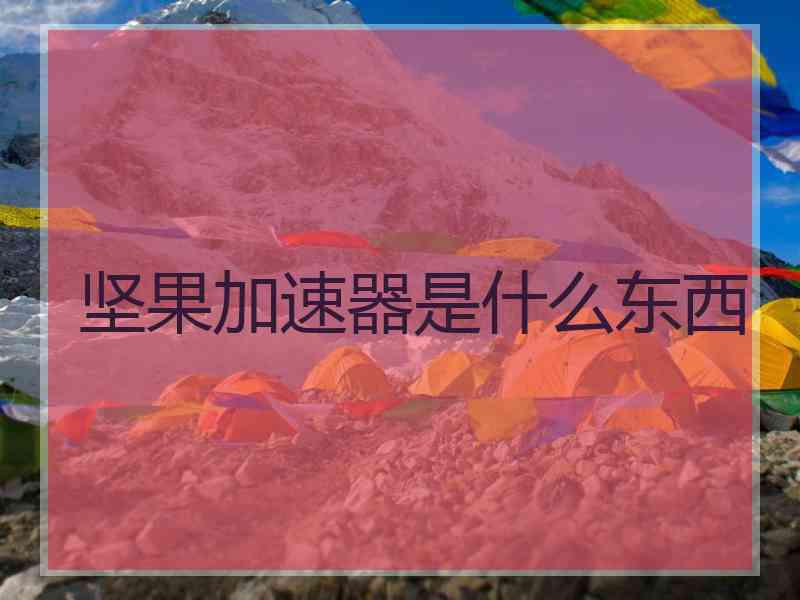 坚果加速器是什么东西