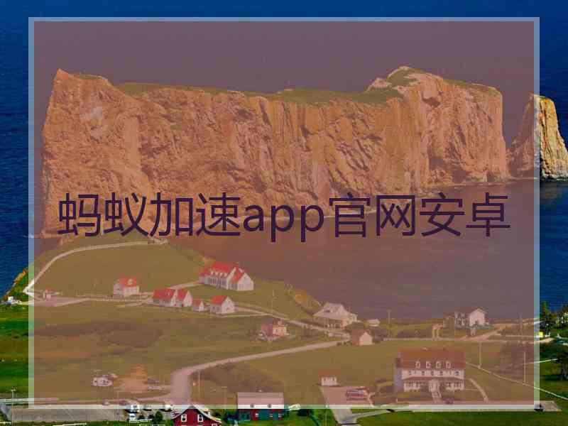 蚂蚁加速app官网安卓