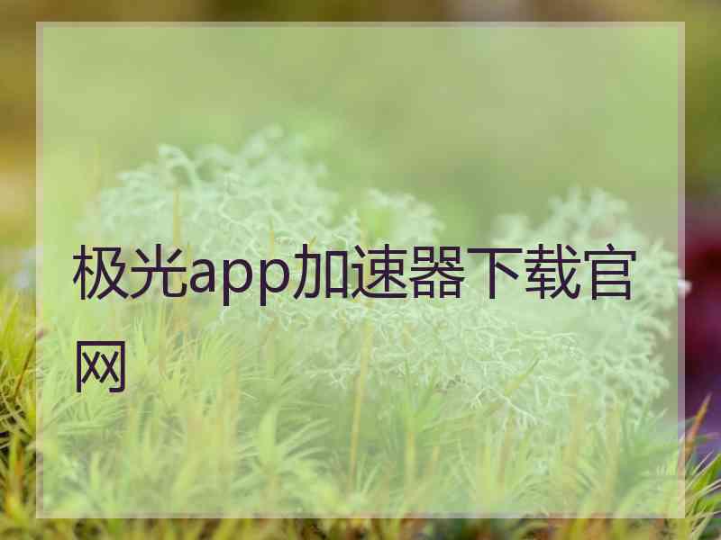 极光app加速器下载官网