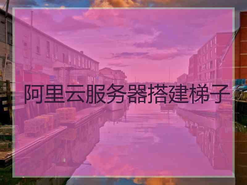 阿里云服务器搭建梯子