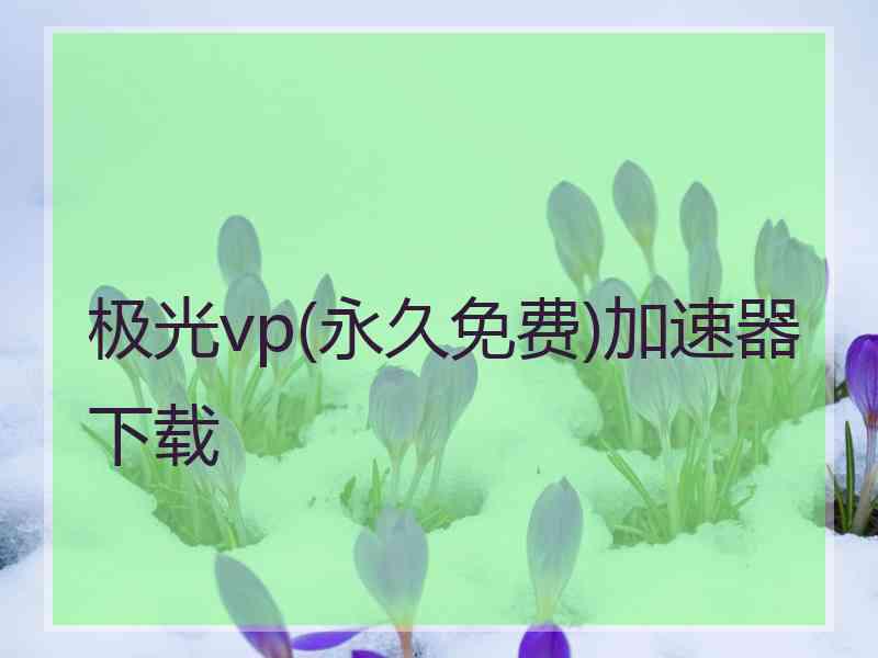 极光vp(永久免费)加速器下载