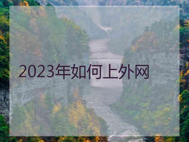 2023年如何上外网