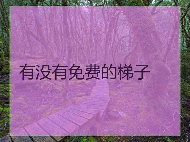 有没有免费的梯子