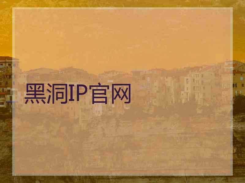 黑洞IP官网