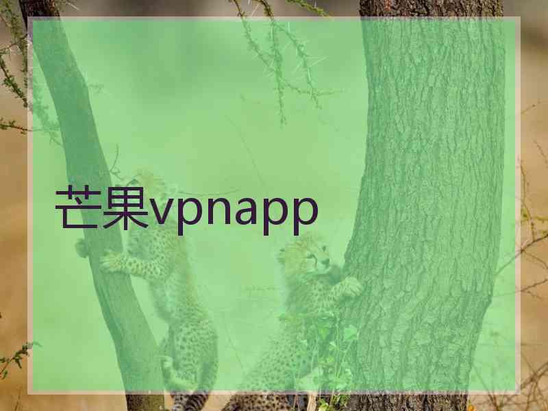 芒果vpnapp