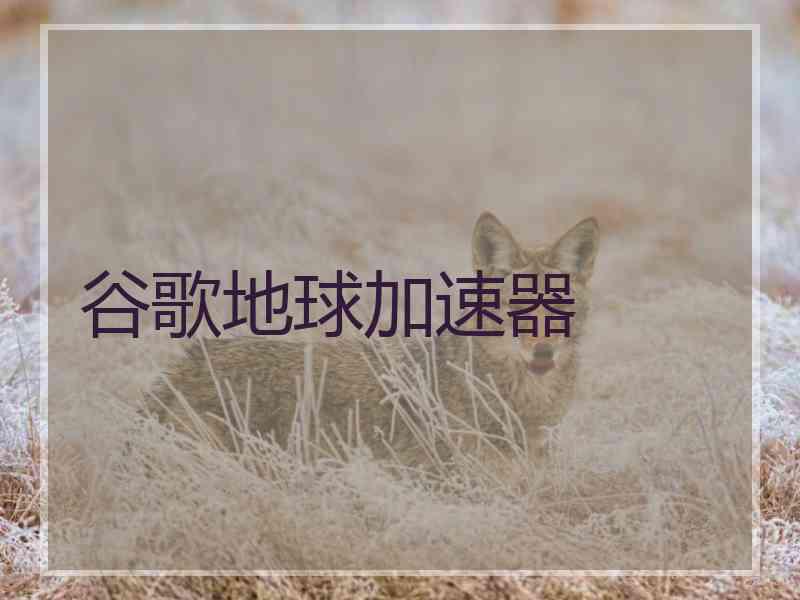 谷歌地球加速器