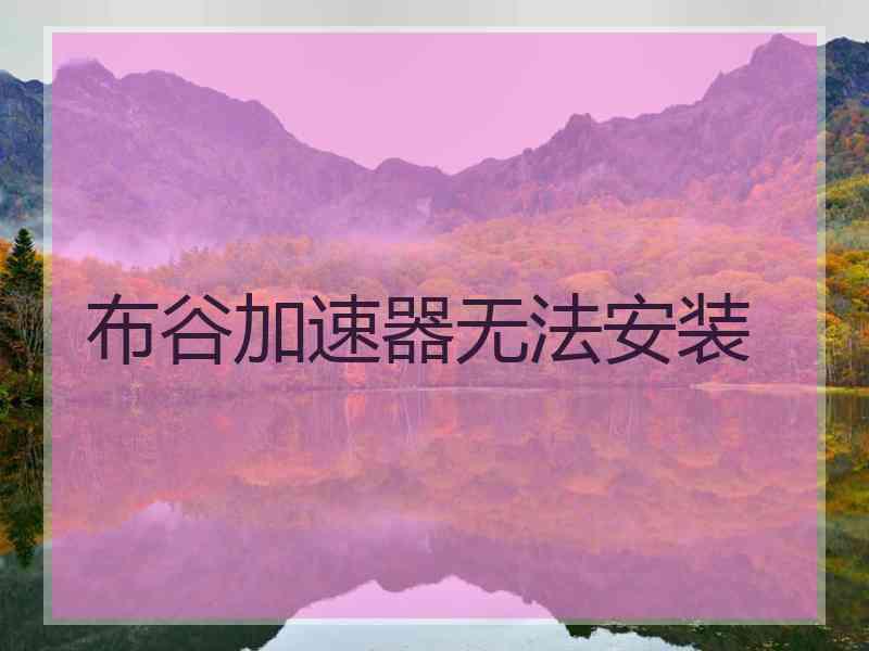 布谷加速器无法安装
