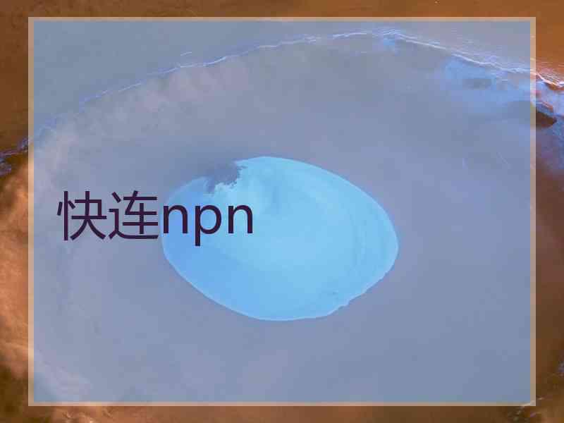 快连npn