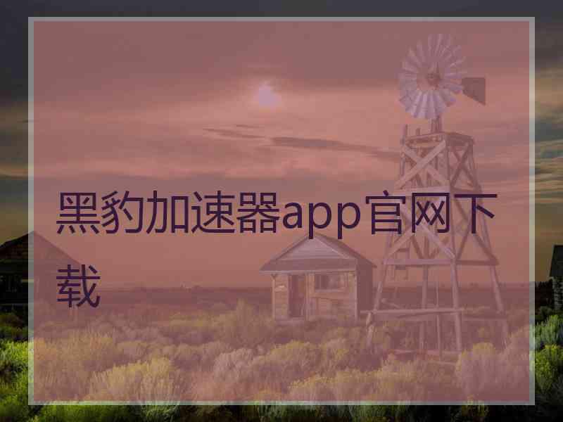 黑豹加速器app官网下载