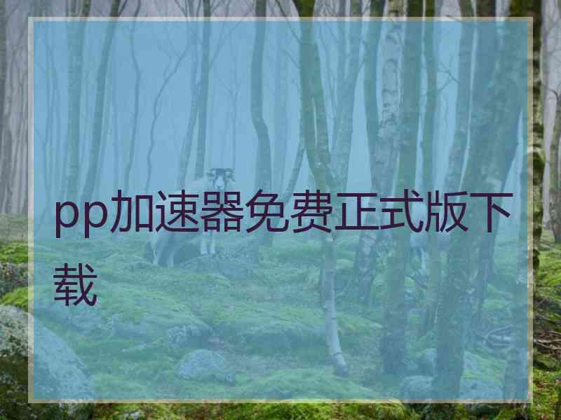 pp加速器免费正式版下载