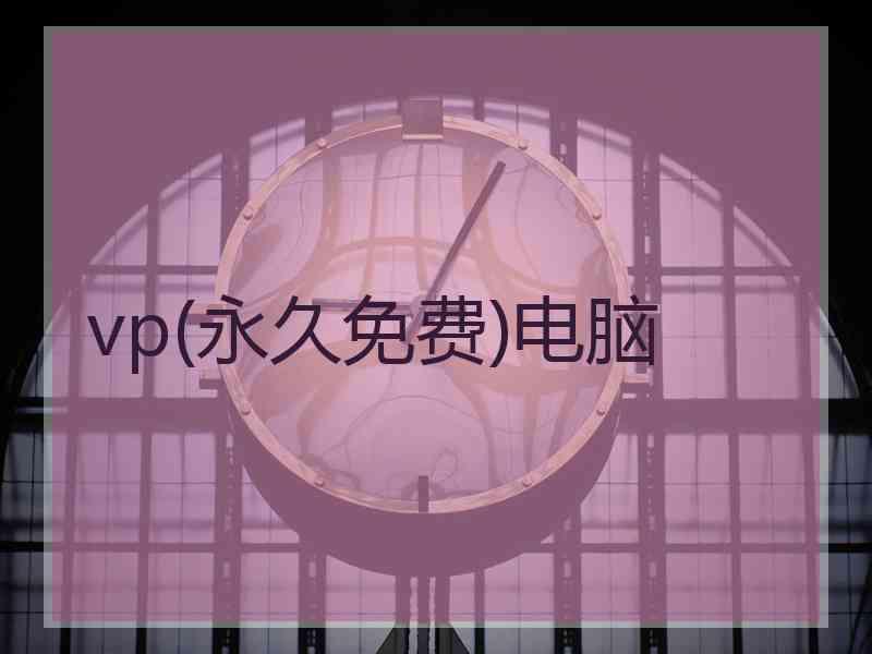 vp(永久免费)电脑