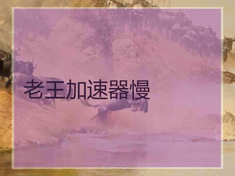 老王加速器慢
