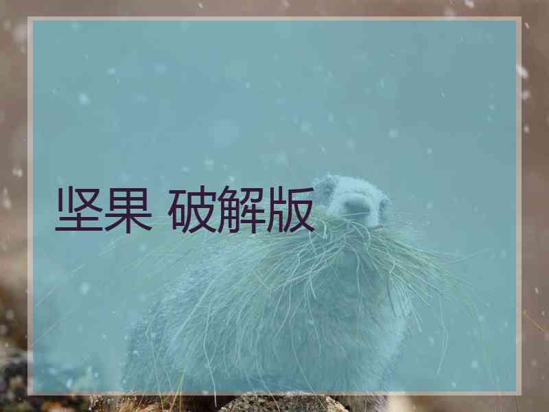 坚果 破解版