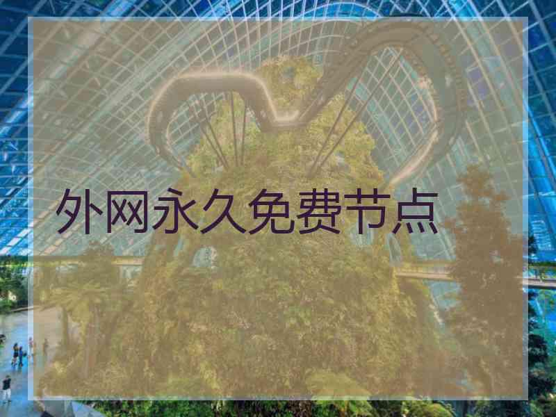外网永久免费节点