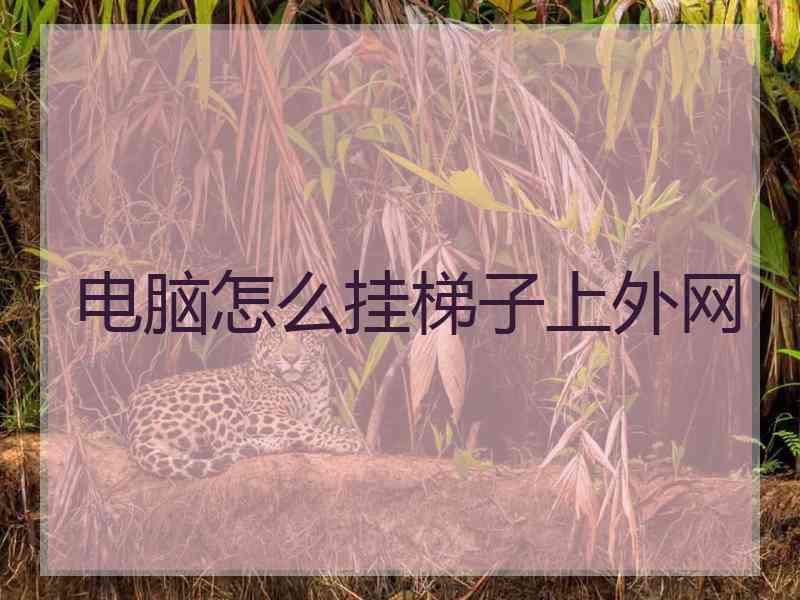 电脑怎么挂梯子上外网