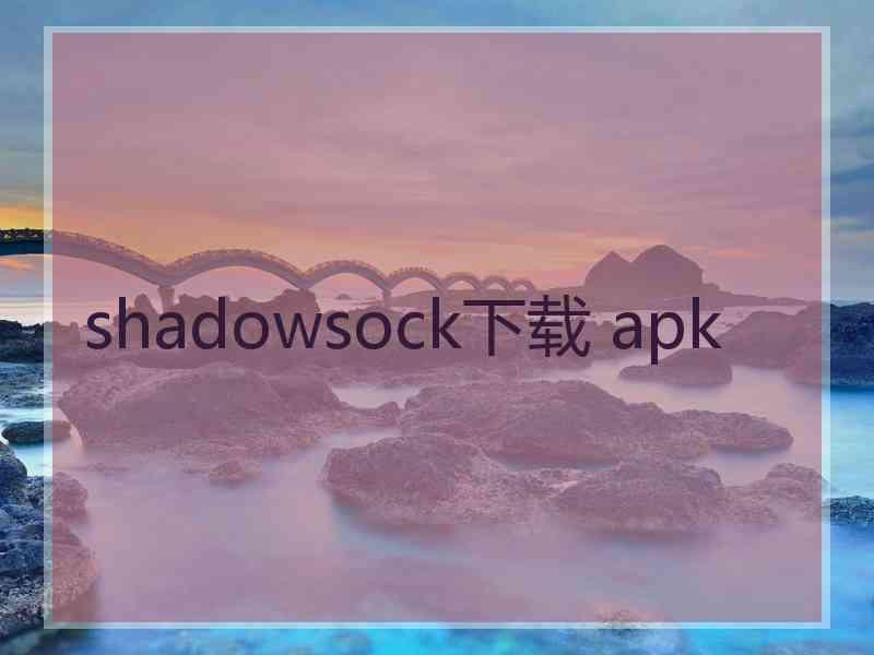 shadowsock下载 apk