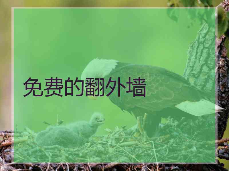 免费的翻外墙