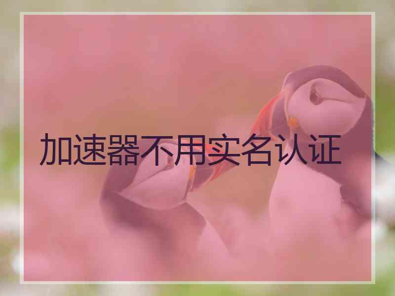 加速器不用实名认证
