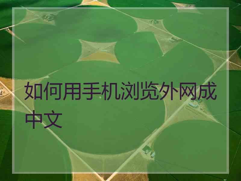 如何用手机浏览外网成中文