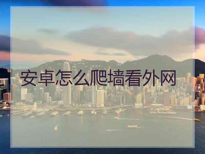安卓怎么爬墙看外网