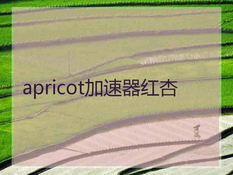 apricot加速器红杏