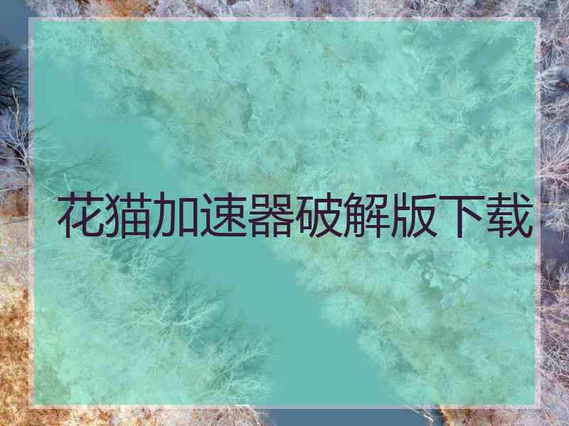花猫加速器破解版下载