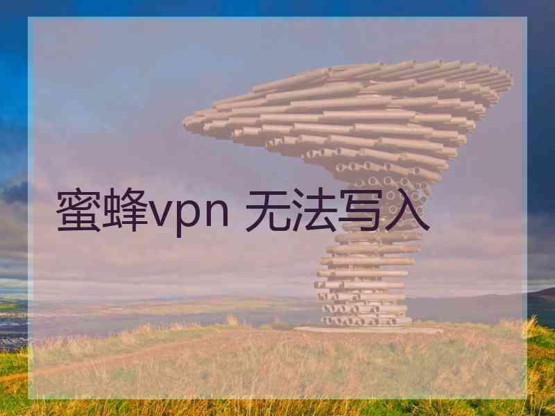 蜜蜂vpn 无法写入