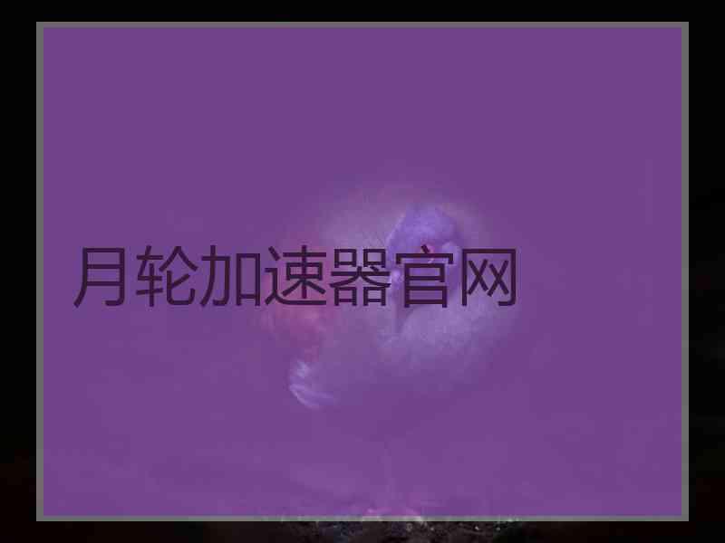 月轮加速器官网
