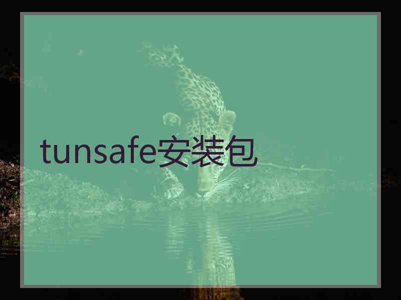 tunsafe安装包