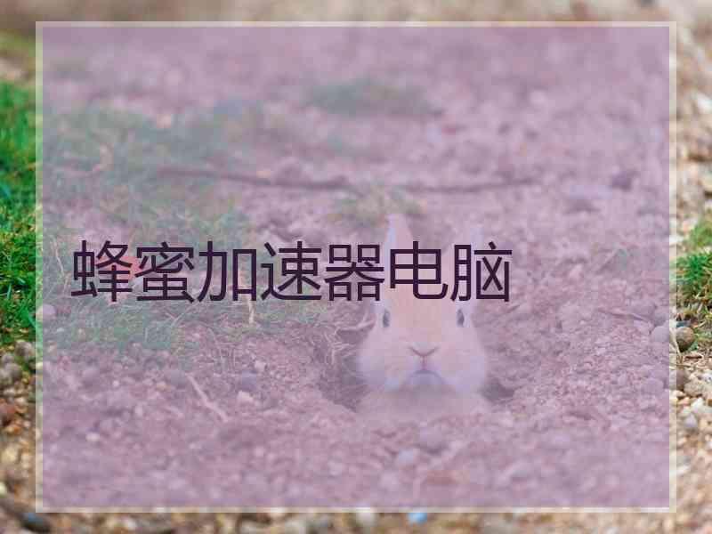 蜂蜜加速器电脑