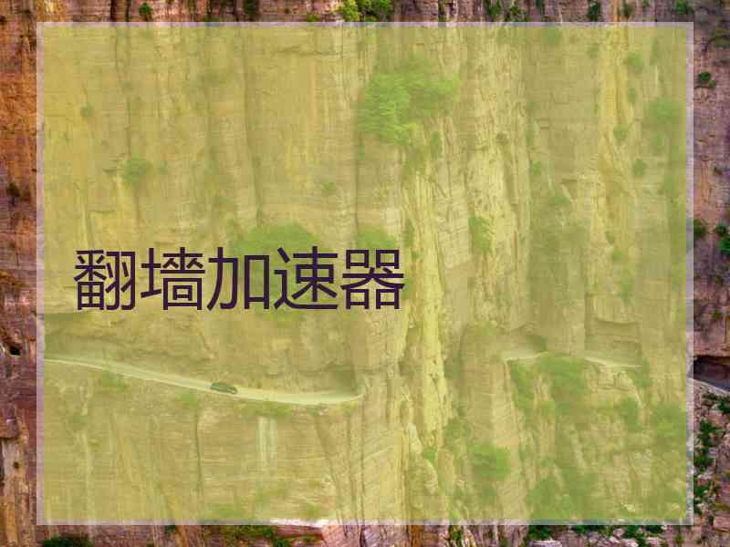 翻墻加速器