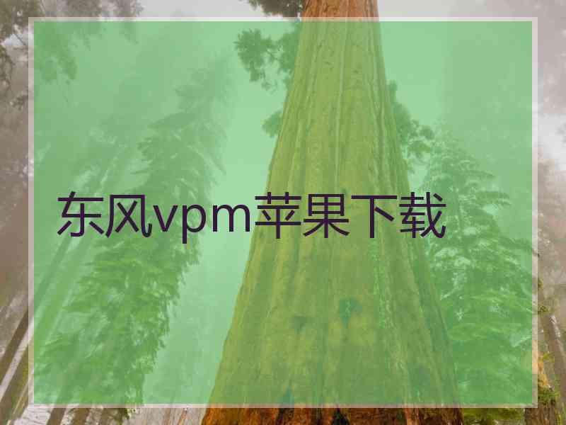 东风vpm苹果下载