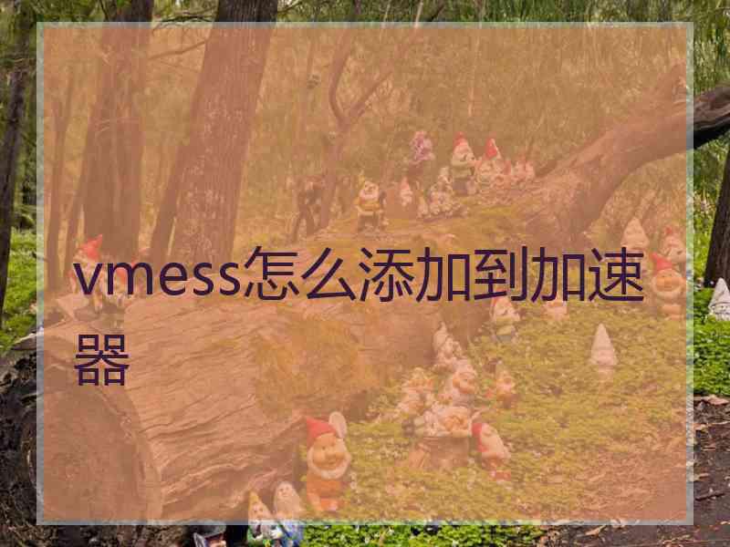 vmess怎么添加到加速器