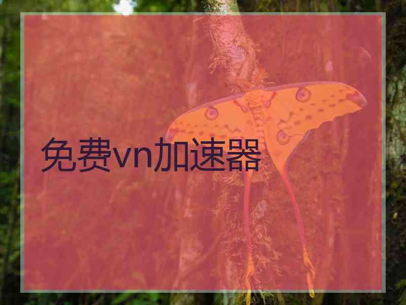免费vn加速器
