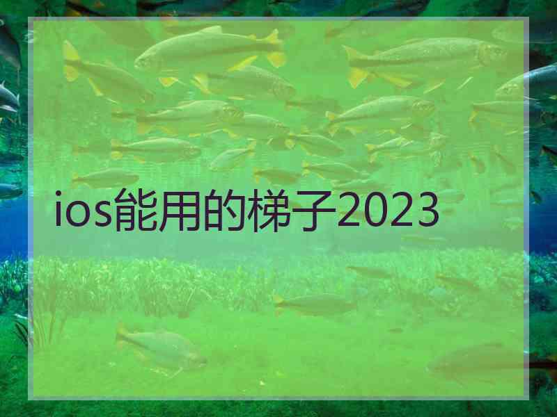 ios能用的梯子2023
