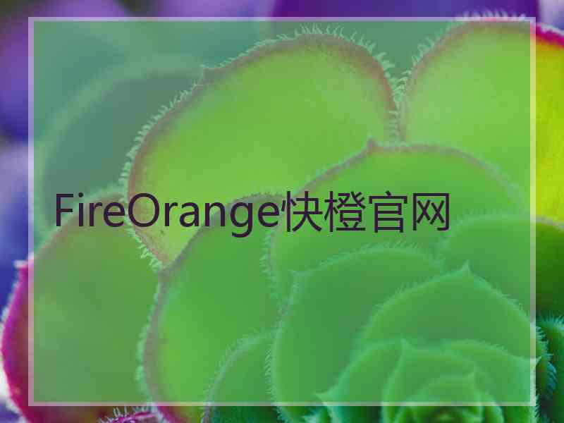 FireOrange快橙官网