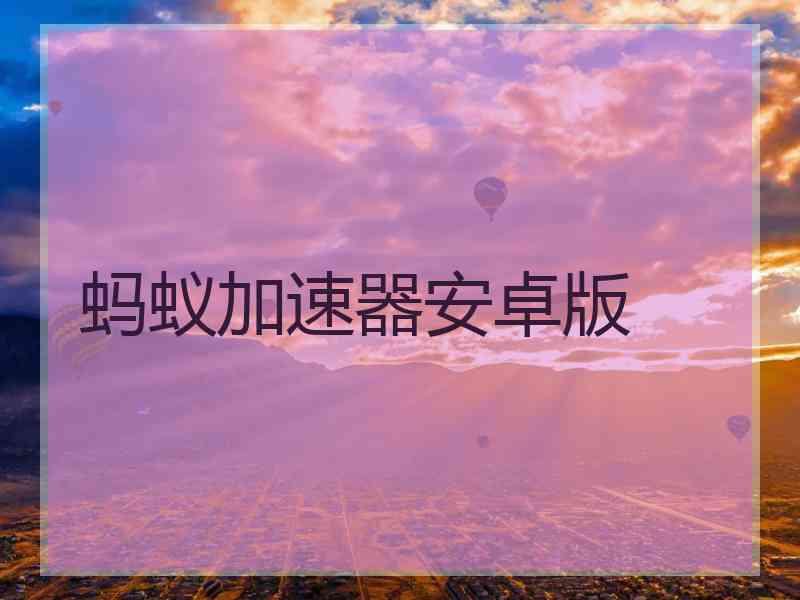 蚂蚁加速器安卓版