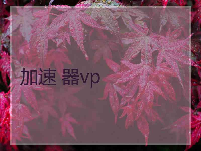 加速 器vp