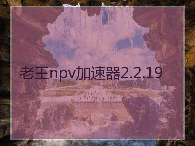老王npv加速器2.2.19