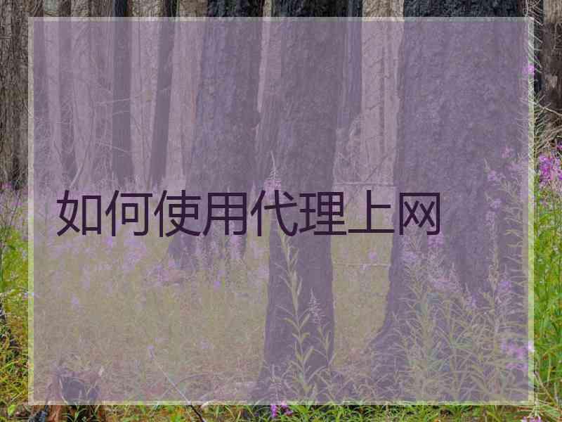 如何使用代理上网