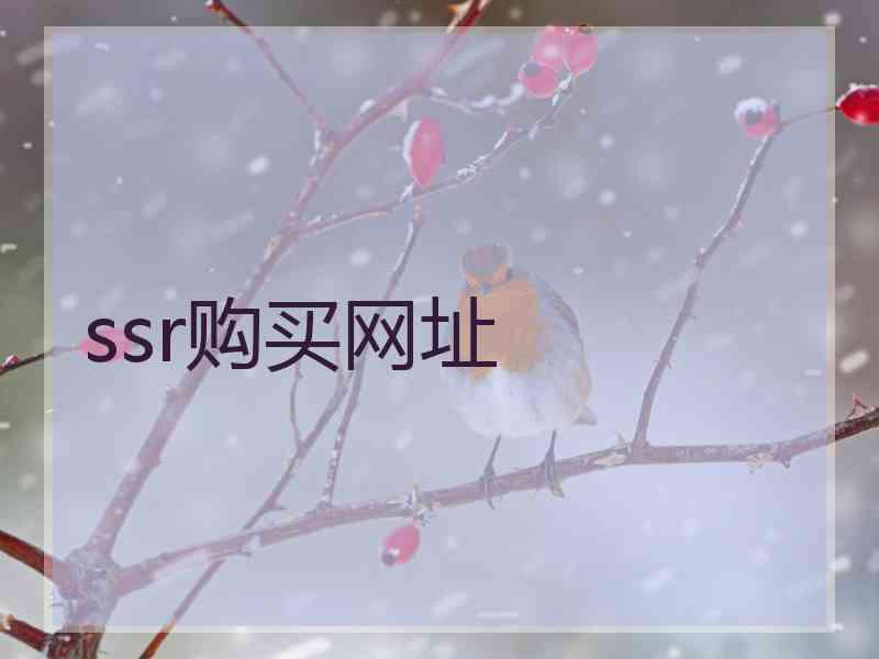 ssr购买网址