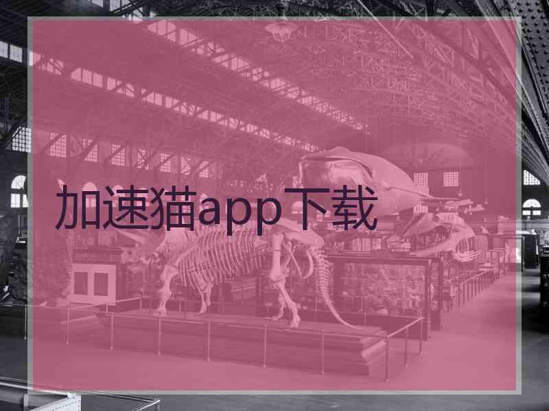 加速猫app下载